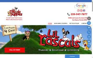 Lil Rascals Puppies website