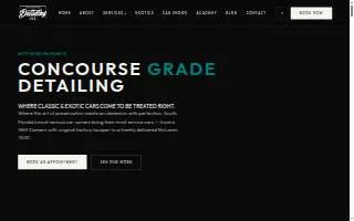 Detailing Vice website