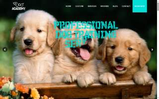 iDog Academy