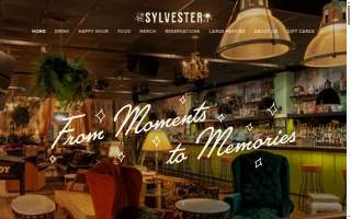The Sylvester