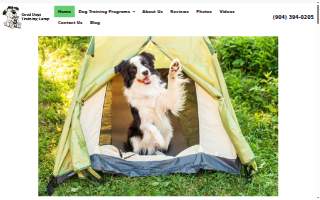 Good Dogs Training Camp