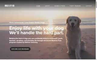 Bold City K9 website