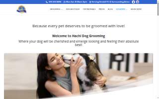 Hachi Dog Grooming and Boutique