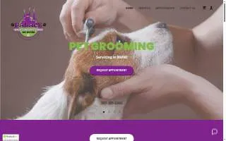 Palace Pet Grooming and Boutique of Kendall website
