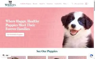 Waggles Kendall website
