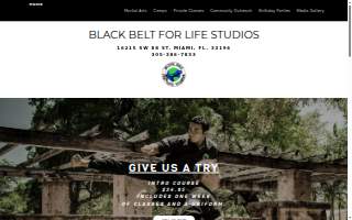 Black Belt For Life Studios