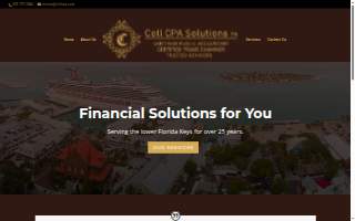Coll C.P.A. Solutions P.A.