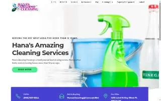 Hana's Amazing Cleaning website