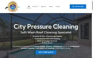 City Pressure Cleaning, Soft Wash Roof Cleaning website