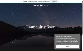 DCSI Inc. website