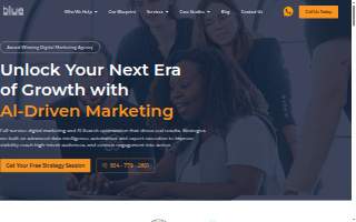 Blue Interactive Agency