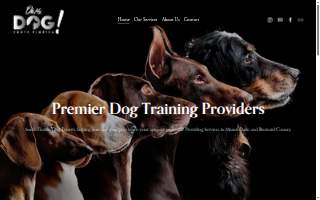 Oh My Dog South Florida Dog Training