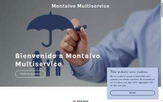 Montalvo Multiservice
