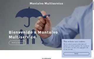 Montalvo Multiservice website