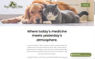 Levy Animal Clinic website