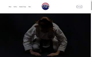 Sciontis Martial Arts of Lively