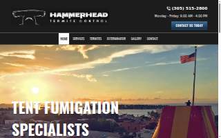 Hammerhead Termite Control