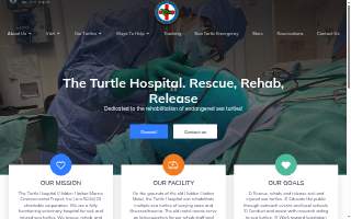 Turtle Hospital