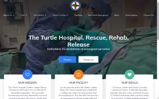 Turtle Hospital website