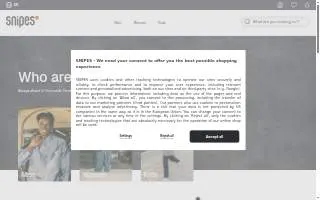 Snipes website