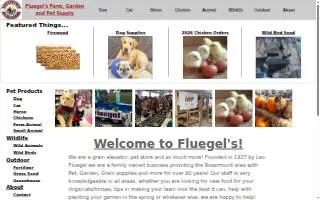 Fluent Mortgage Corp. website