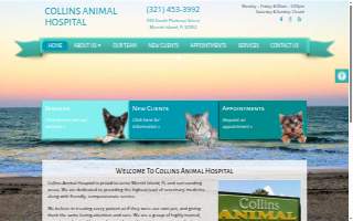 Collins Animal Hospital