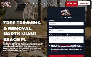 Big Dawgs Tree Service and Stumpgrinding