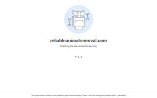 Reliable Animal Removal Inc.