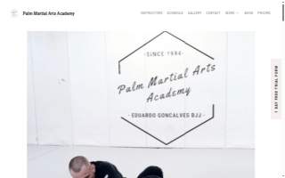 Palm Martial Arts Academy of Miramar