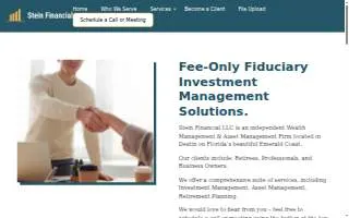 Stein Financial website