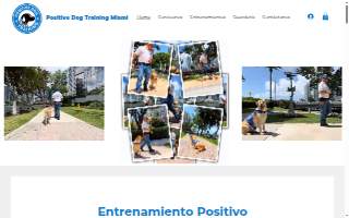 Positive Dog Training Miami