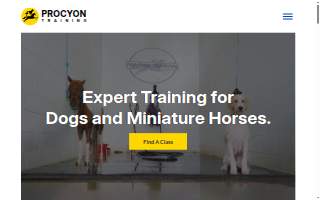 Procyon Training