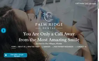 Palm River Electric website