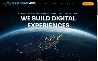 Blue Crab Web Design