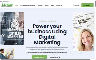 Lince Digital Marketing