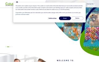Calusa Marketing website