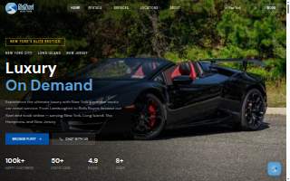 Exotic Car Detailer