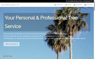 Trees With Leaves of Pompano Beach