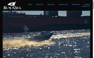 BlackSea Auto Sales