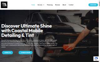 Coastal Mobile Detailing And Tinting