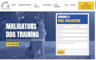 Maligators Dog Training of Palm Harbor