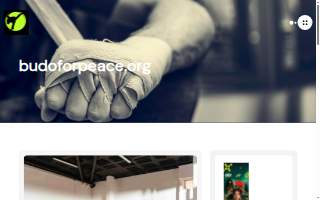 Budo Martial Arts