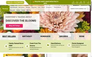 Field of Flowers website