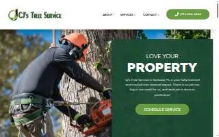 CJ's Tree Service - Sarasota Tree Service website