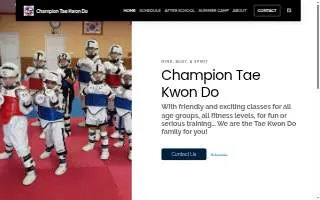 Champion Tae Kwon Do of Seminole website