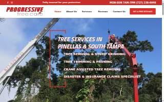 Progressive Tree Care
