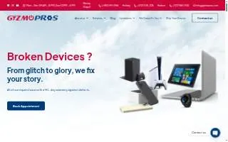 GizmoPros Hudson website
