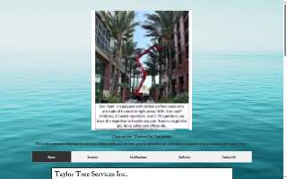 Taylor Tree Services, Inc.