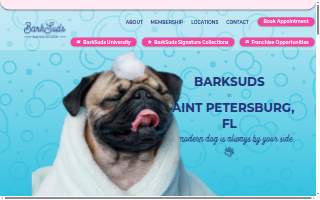 BarkSuds Saint Petersburg