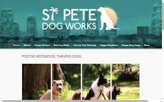 St. Pete Dog Works